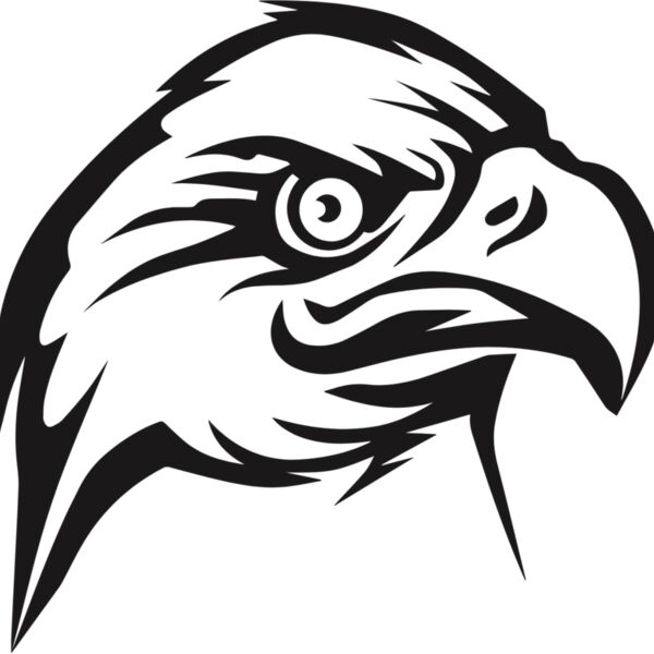 falcon head Thumbnail