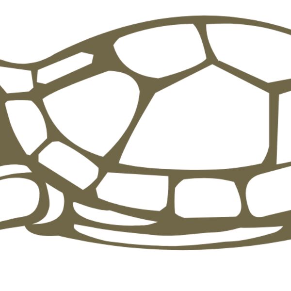 turtles  6  Thumbnail