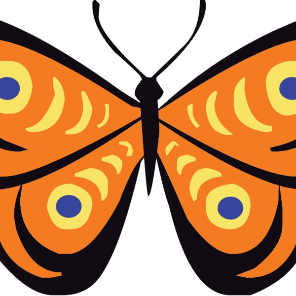 butterfly1  5  Thumbnail