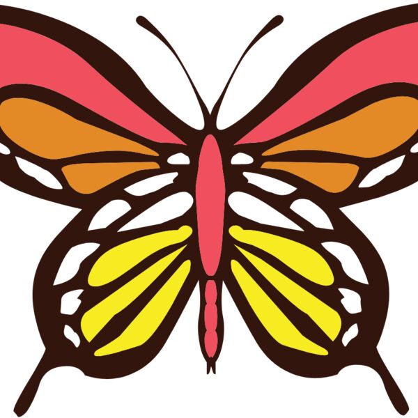 butterfly1  11  Thumbnail