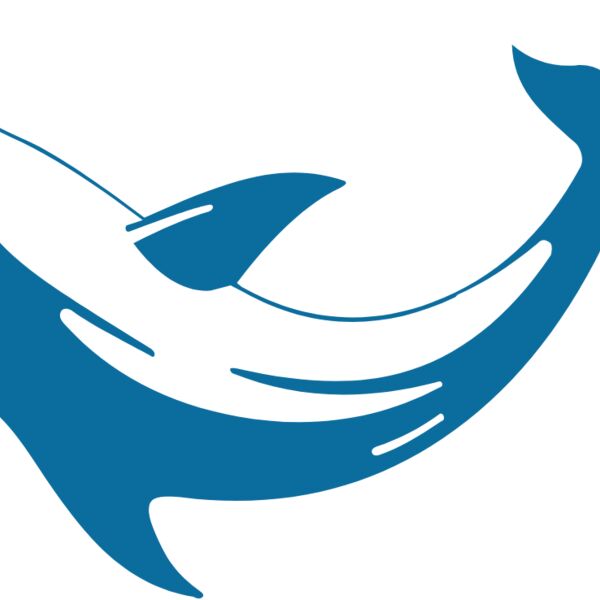 dolphins13 Thumbnail