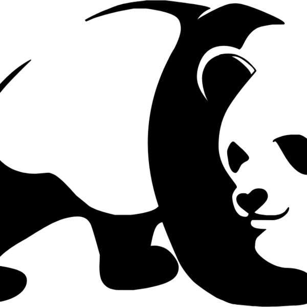 pandas  5  Thumbnail