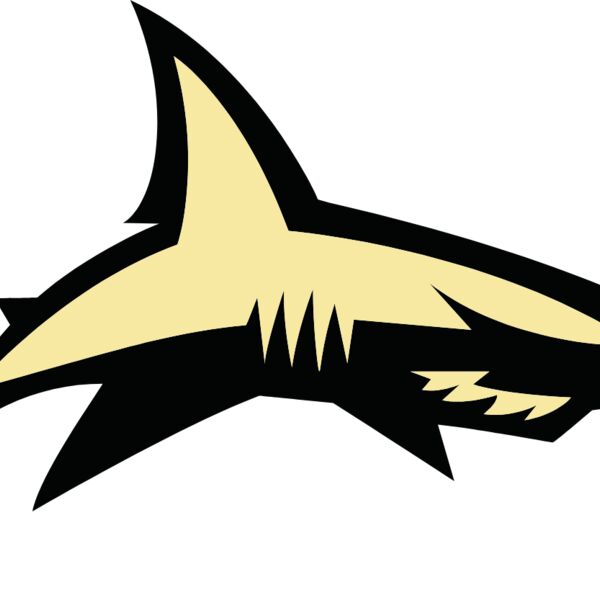 shark  13  Thumbnail