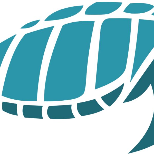 turtles  3  Thumbnail