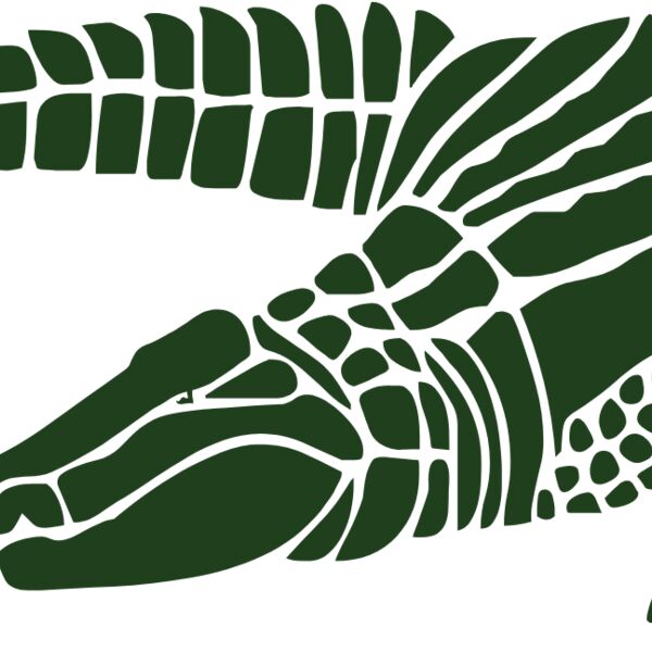 alligators7 Thumbnail