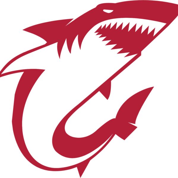 shark  12  Thumbnail