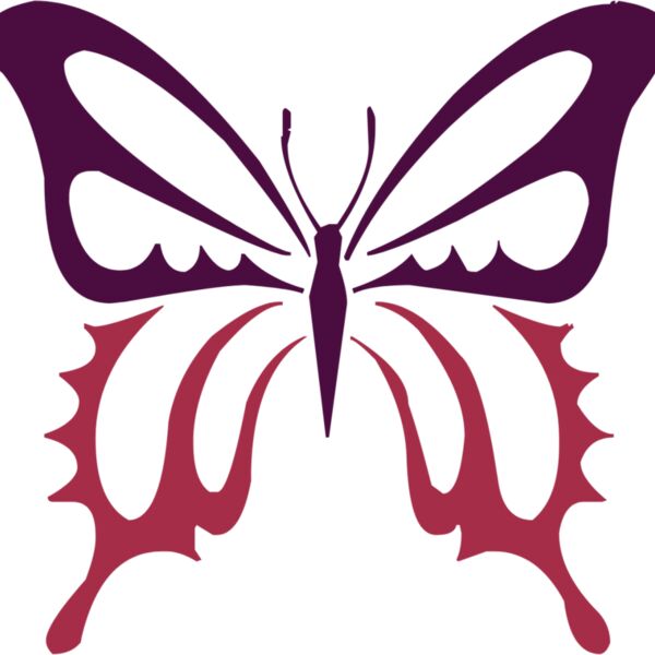 butterfly1  3  Thumbnail