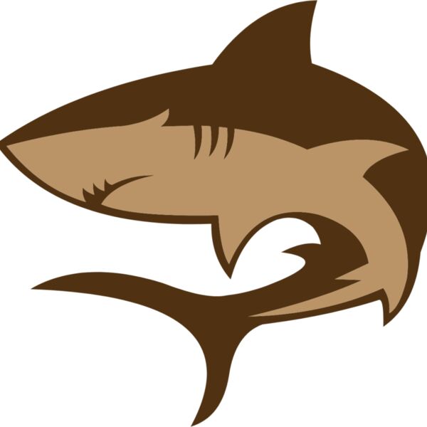 shark  10  Thumbnail