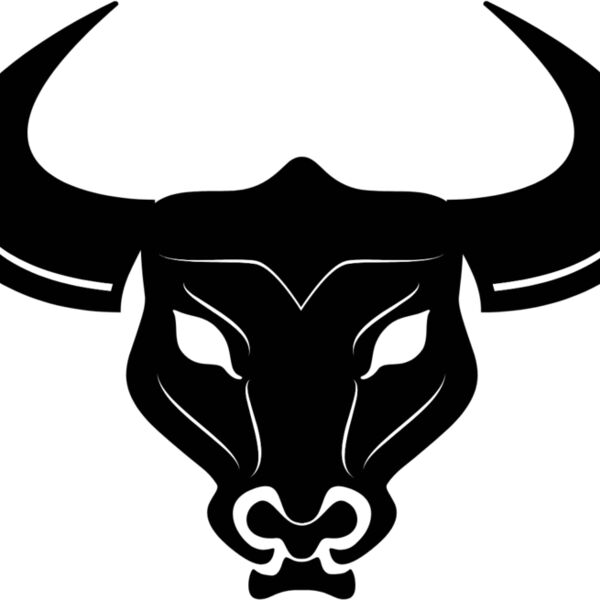 bull6 Thumbnail