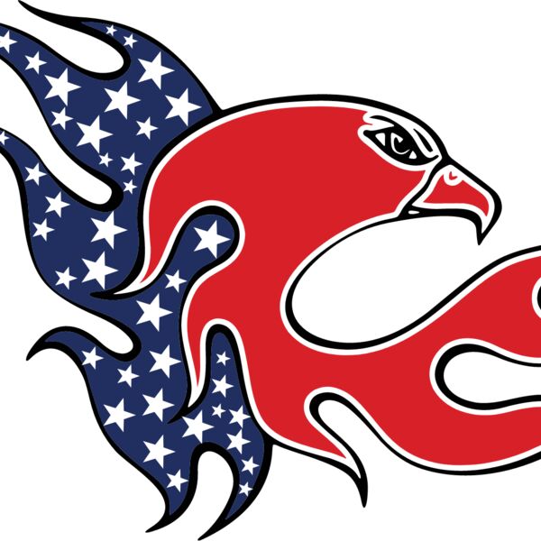 american eag d1 Thumbnail