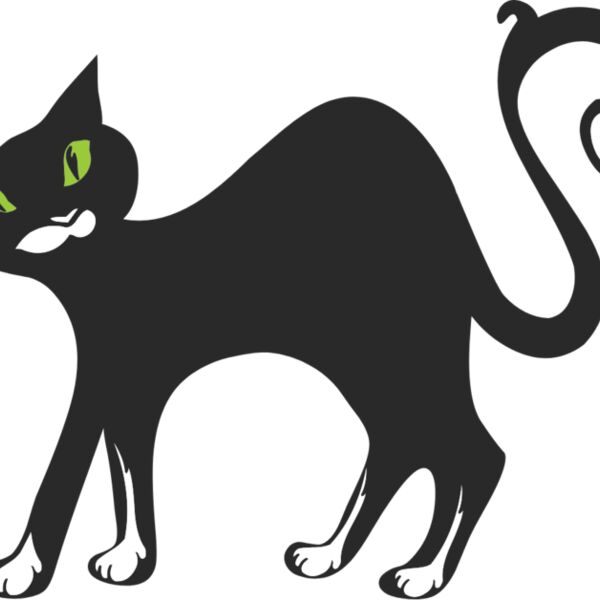 cats 1  4  Thumbnail