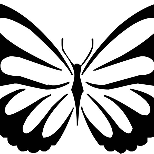 butterfly1  1  Thumbnail