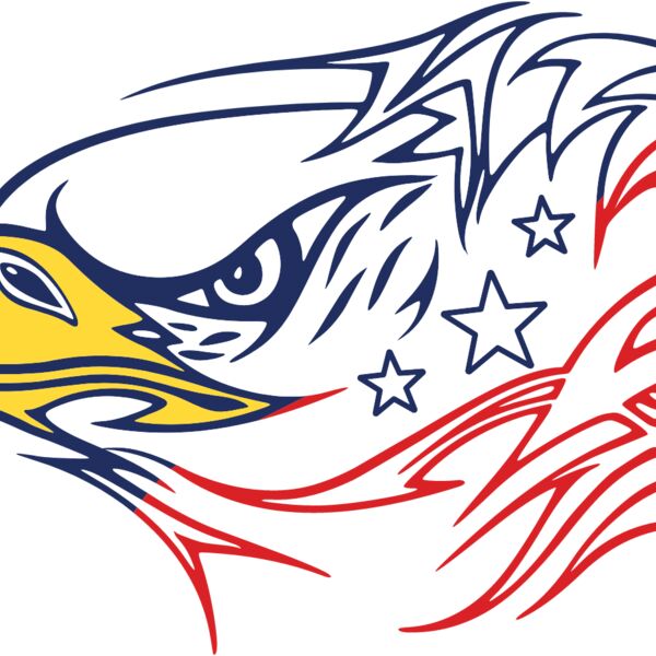 american eag d6 Thumbnail