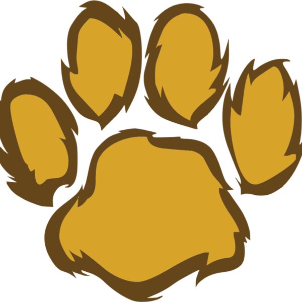 tiger  13  Thumbnail