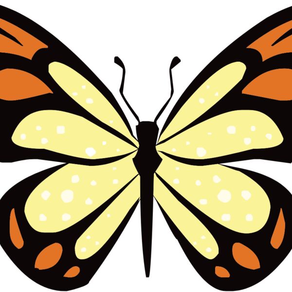 butterfly1  7  Thumbnail