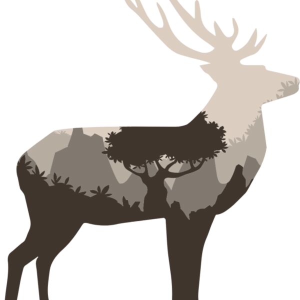 deer  9  Thumbnail
